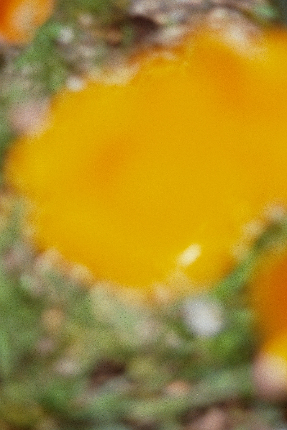 Natural botanical ingredients